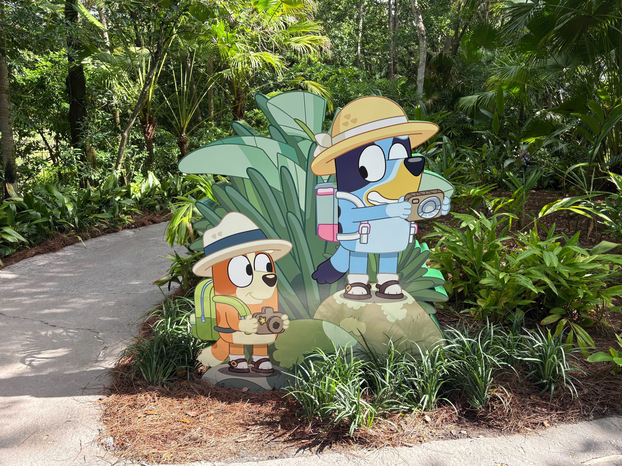 Bluey's Wild World Celebrates All Things Bluey at Disney's Animal Kingdom