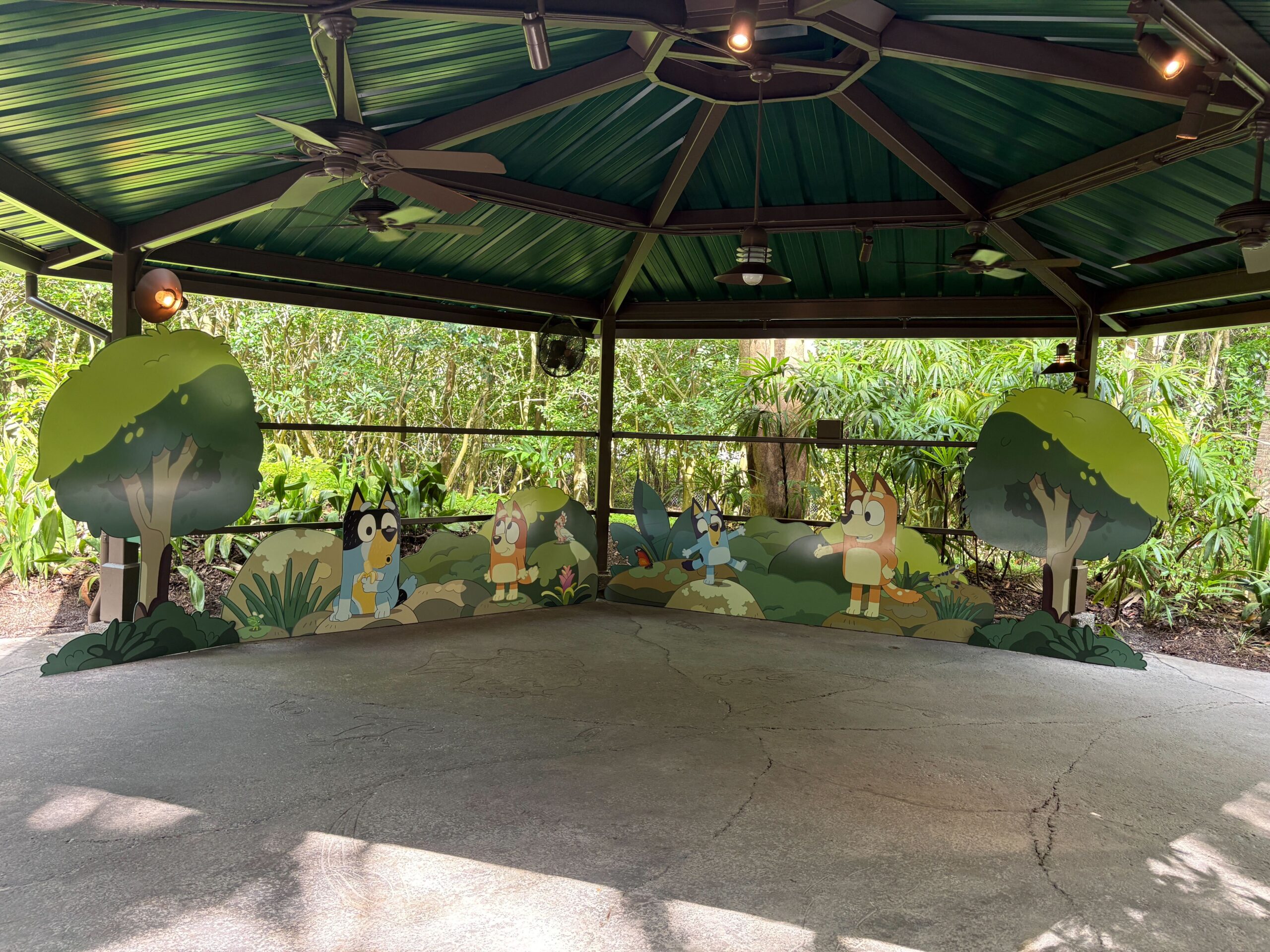 Bluey's Wild World Celebrates All Things Bluey at Disney's Animal Kingdom
