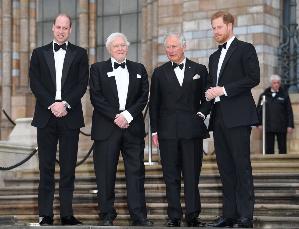 William, Harry, King Charles, David Attenborough