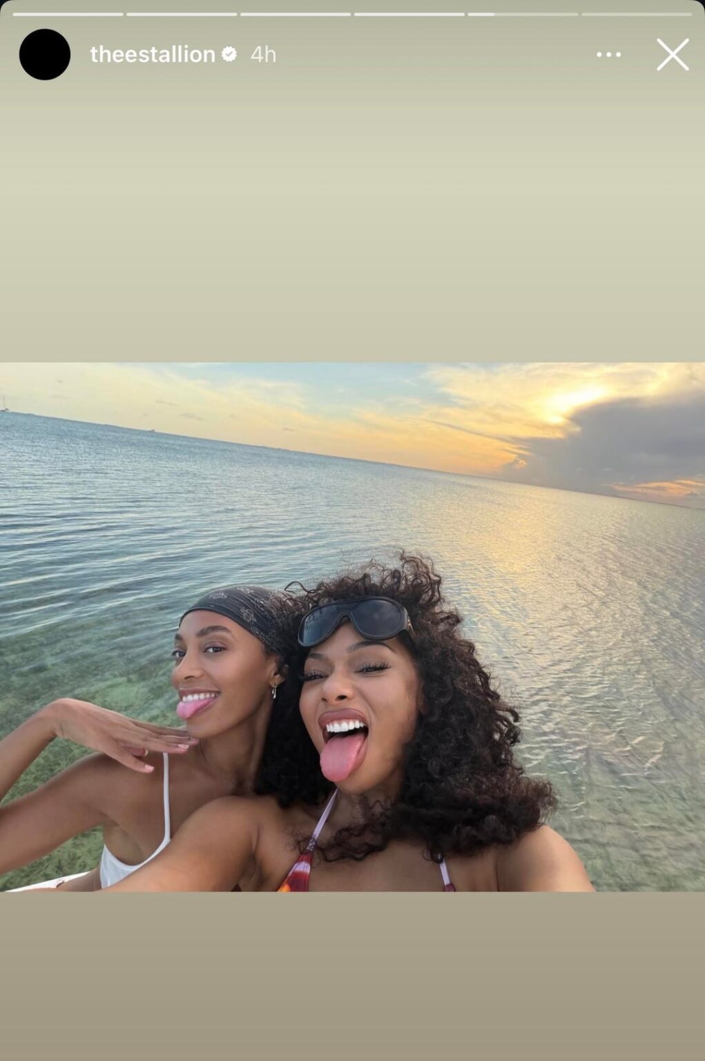 Megan Thee Stallion and Solange are having a time together! Megan shared a photo on her story