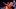 Spike Lee, New York Knicks Spike Lee, New York Knicks