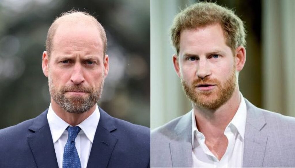 Prince William needs time as Prince Harry extends Olive branch