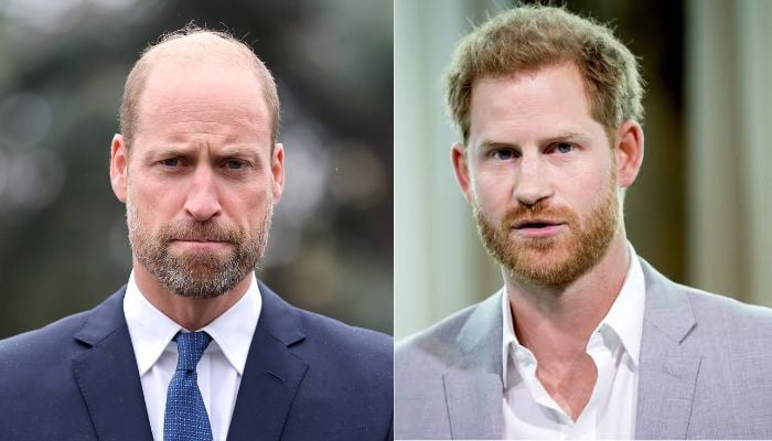 Prince William needs time as Prince Harry extends Olive branch