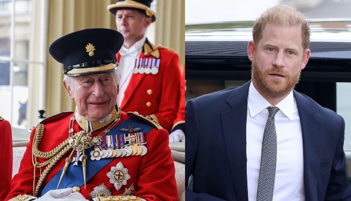 Prince Harry receives massive support from UK after latest security blow