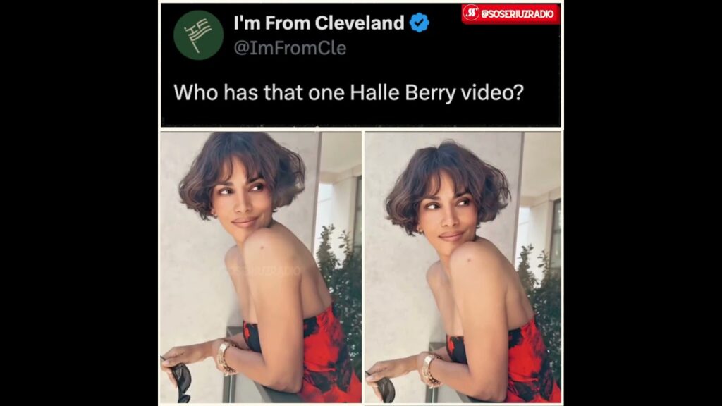 HALLE BERRY HAS THE PERFECT REACTION TO THAT VIRAL VIDEO REQUEST!