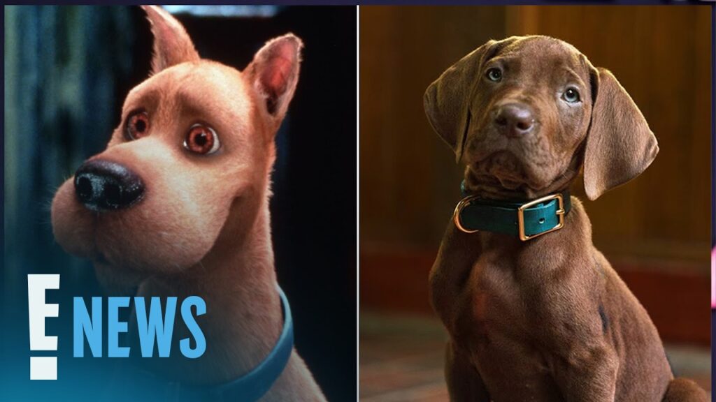 Scooby-Doo Fans Are Divided Over First Look at Live Action Remake | E! News