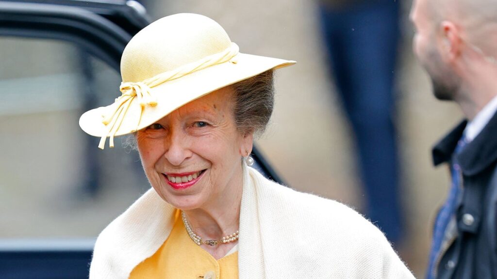 Princess Anne’s memory loss: the horse fall that left gaps she still can’t fill Princess Anne's memory loss: the horse fall that left gaps she still can't fill