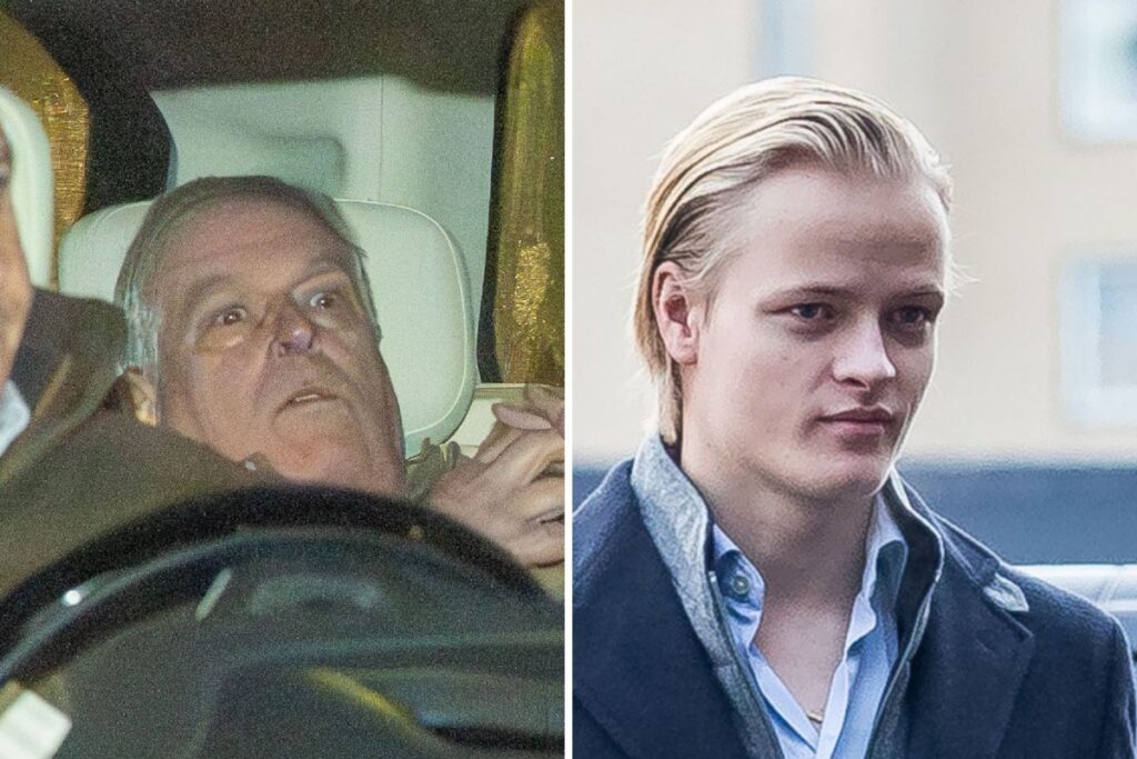 European Royalty in Crisis: Andrew, Epstein and Norwegian Rape Trial European Royalty in Crisis: Andrew, Epstein and Norwegian Rape Trial