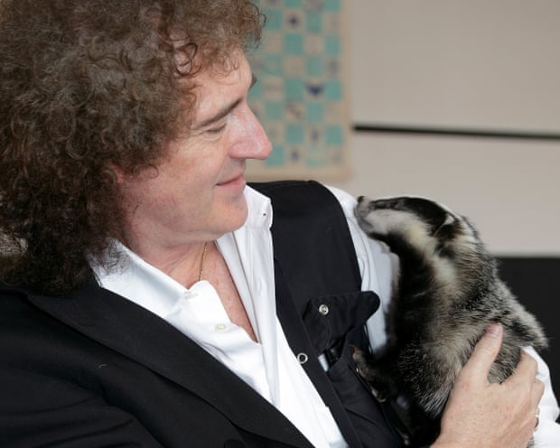 Queen guitarist Brian May and Bill the Badger
