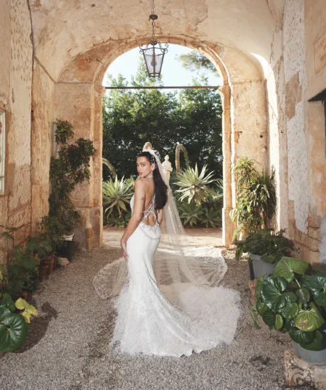 Dua Lipa shared wedding photos and received thousands of congratulations from fans and celebrities Culinary
