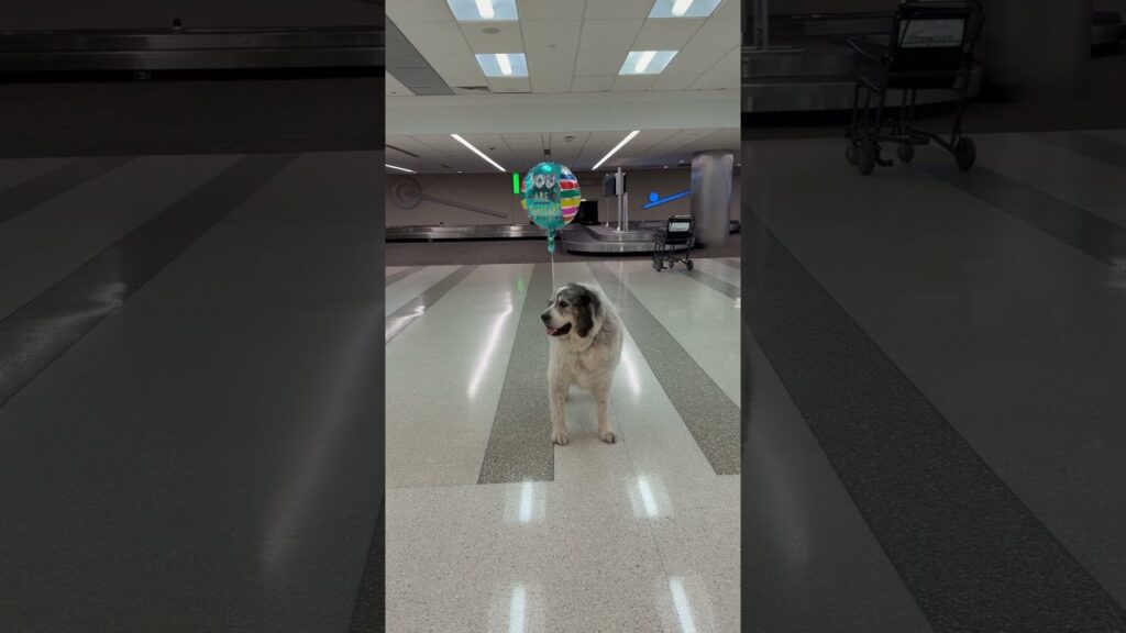 He knows we’ll come back.. so no unnecessary walls were taken 😅  #ritchiethepyr