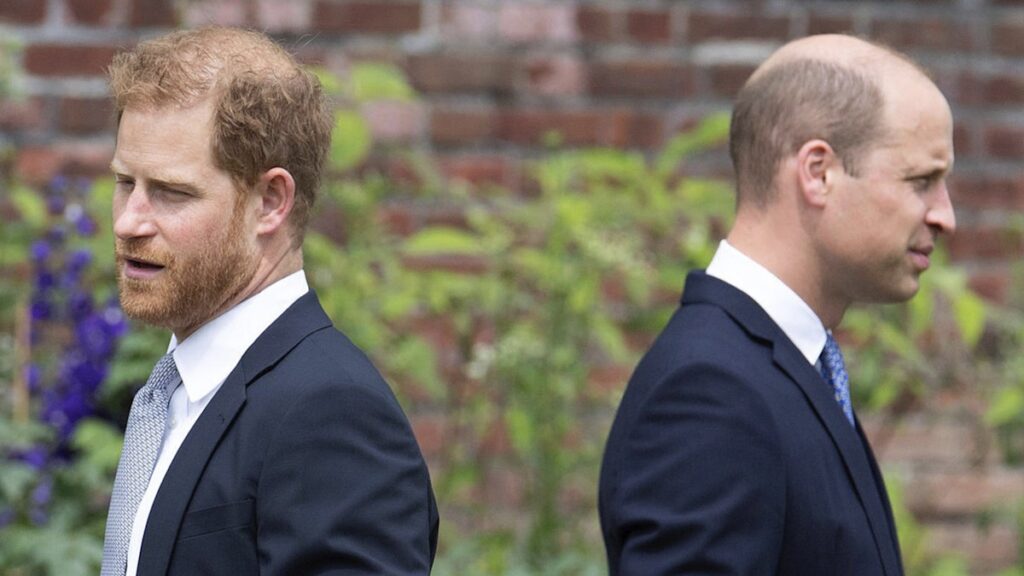 Prince Harry Prince William Royal feud-former aide hopeful of a reunion Horoscope icon