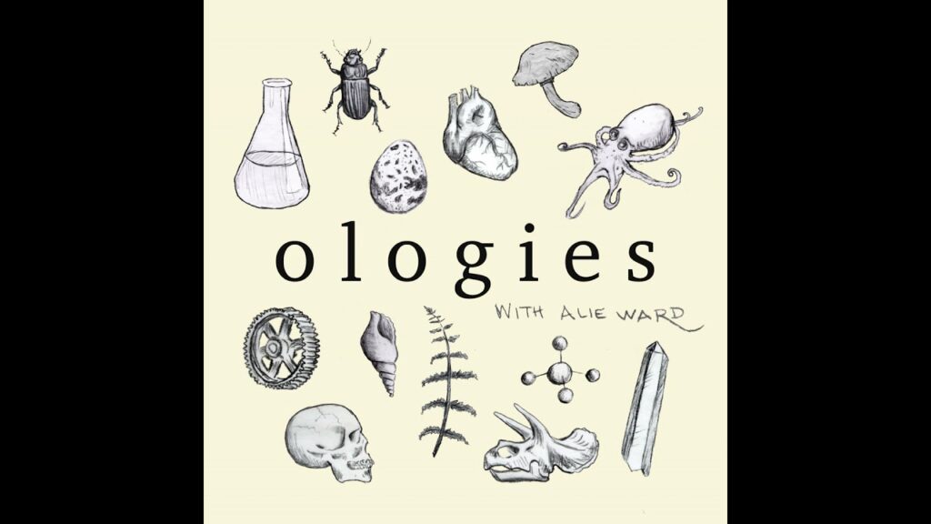 Smologies #22: REPTILES & AMPHIBIANS with David Steen