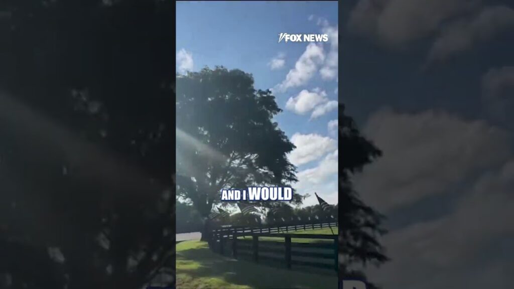 Far-left RIPS Carrie Underwood for American flag display #shorts #us #news #carrieunderwood