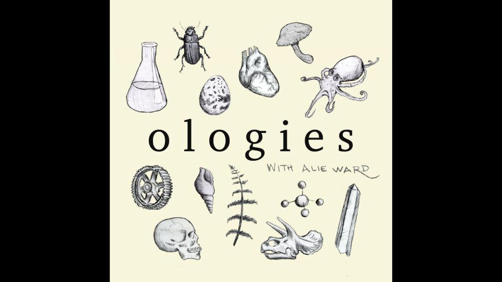 Smologies #30: SPIDERWEBS with Randy Lewis