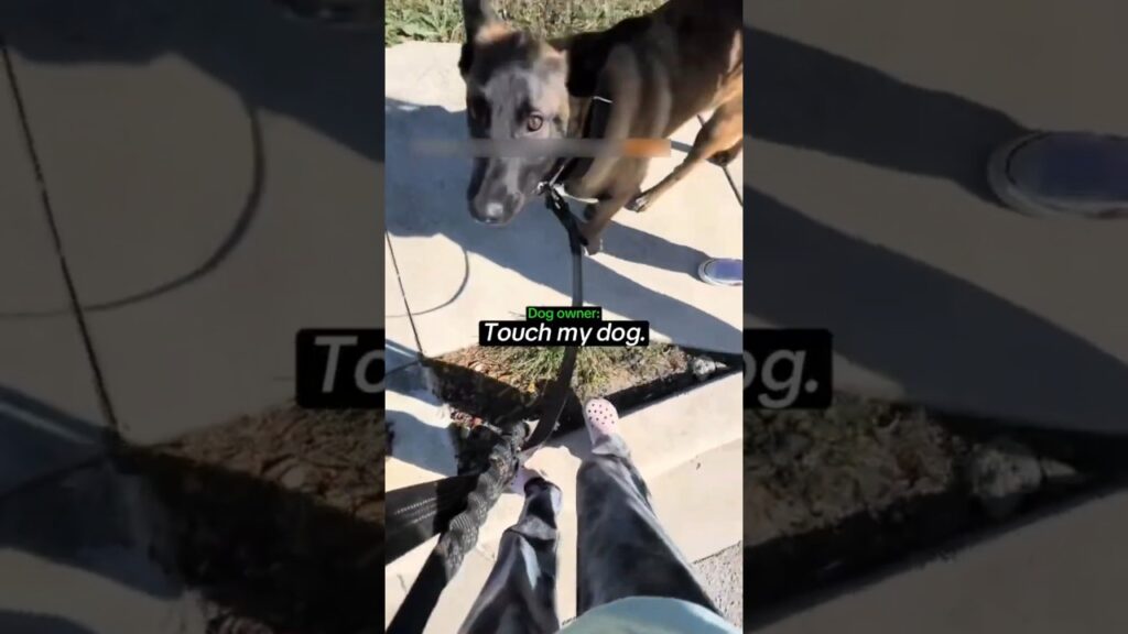 Spoilt Kid Tries to Pet her Neighbor's Dog Without Permission..
