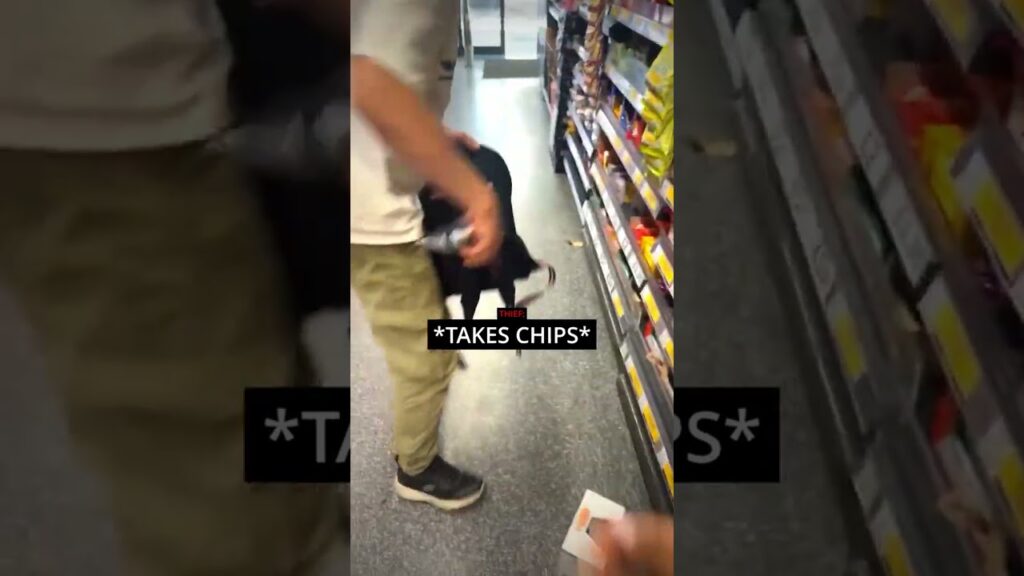 She Asked the Shoplifter for One Favor! π€£π She Asked the Shoplifter for One Favor! π€£π