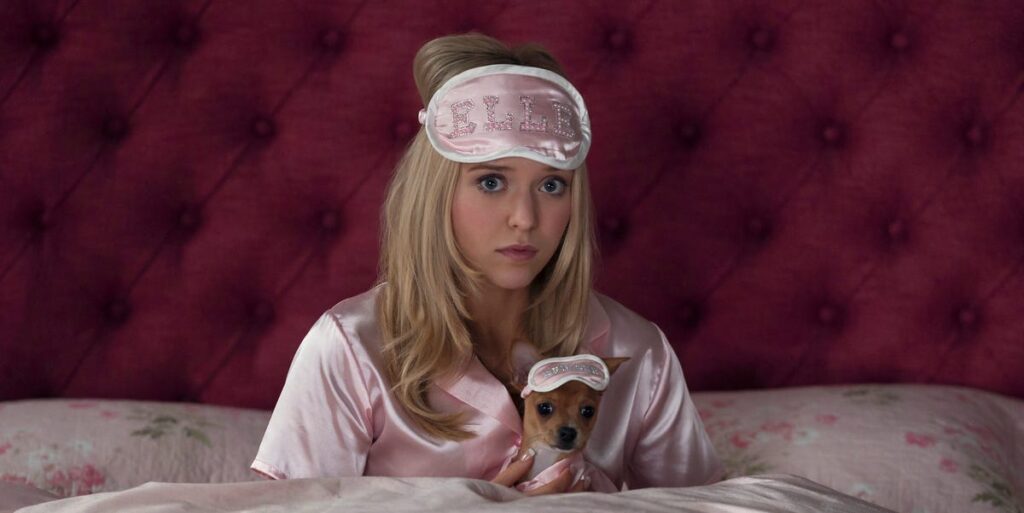 Legally Blonde’s new prequel series branded “awkward” and “nonsensical” in brutal first reviews Legally Blonde's new prequel series branded "awkward" and "nonsensical" in brutal first reviews