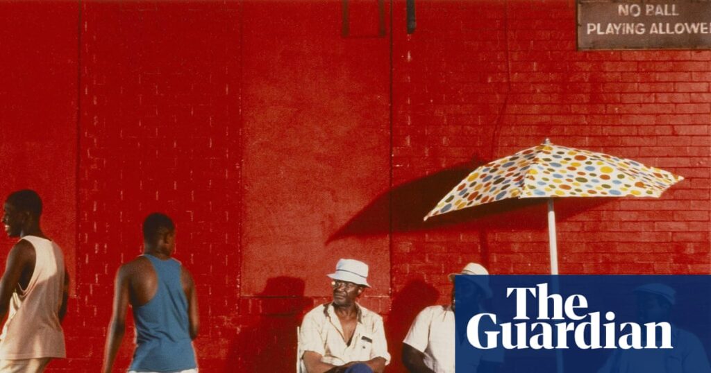 Sizzle reels: nine films to watch in a heatwave | Film Sizzle reels: nine films to watch in a heatwave | Film