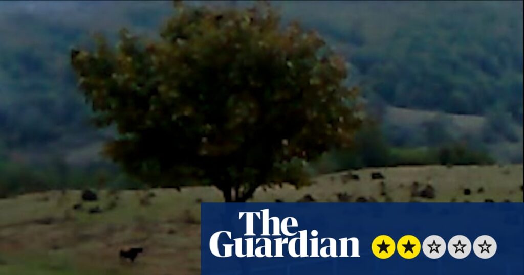Dry Leaf review – three-hour amble around the football pitches of Georgia in search of a daughter | Film Dry Leaf review – three-hour amble around the football pitches of Georgia in search of a daughter | Film