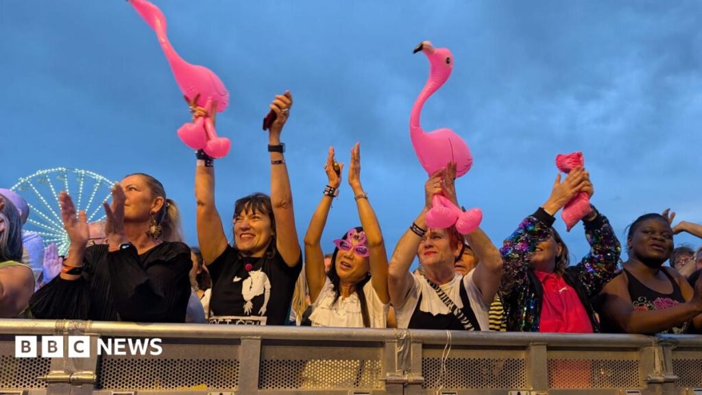 Fans at the 2025 Godival Festiva watch headliner Marc Almond perform. They are waving inflatable pink flamingos, with a woman in the centre pf the picture also wearing a pair of pink novlety glasses.