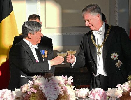 Japan Emperor Wishes for Lasting Friendship at Belgian Banquet