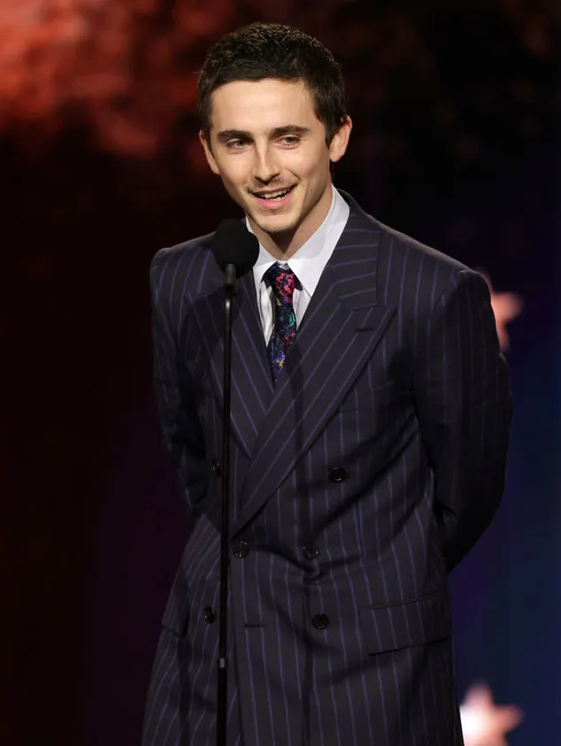 <p>Timoth&eacute;e Chalamet</p>