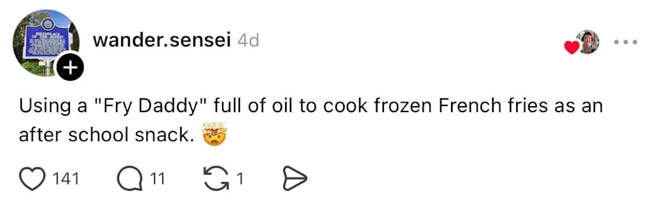 Social media post about using a "Fry Daddy" deep fryer for making frozen French fries as an after-school snack