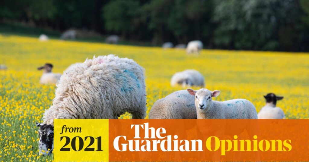 Small farms have a huge role to play in our sustainable future | Charles, Prince of Wales Small farms have a huge role to play in our sustainable future | Charles, Prince of Wales