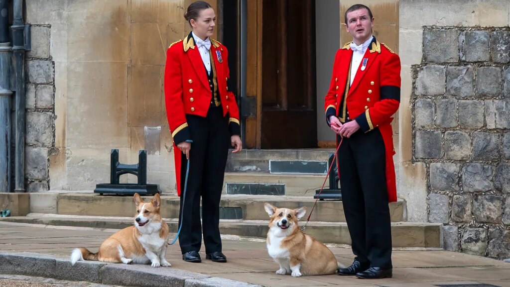 What happened to the Queen's corgis?