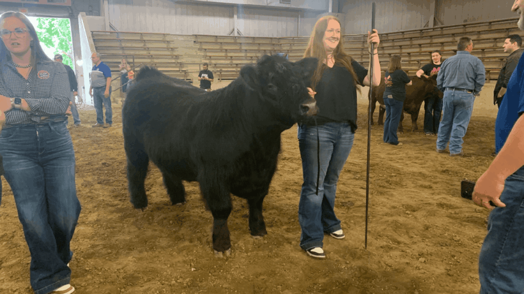Central Ohio Leaders, 4-H Members Prepare for Ronald McDonald House Celebrity Steer Show WWHO