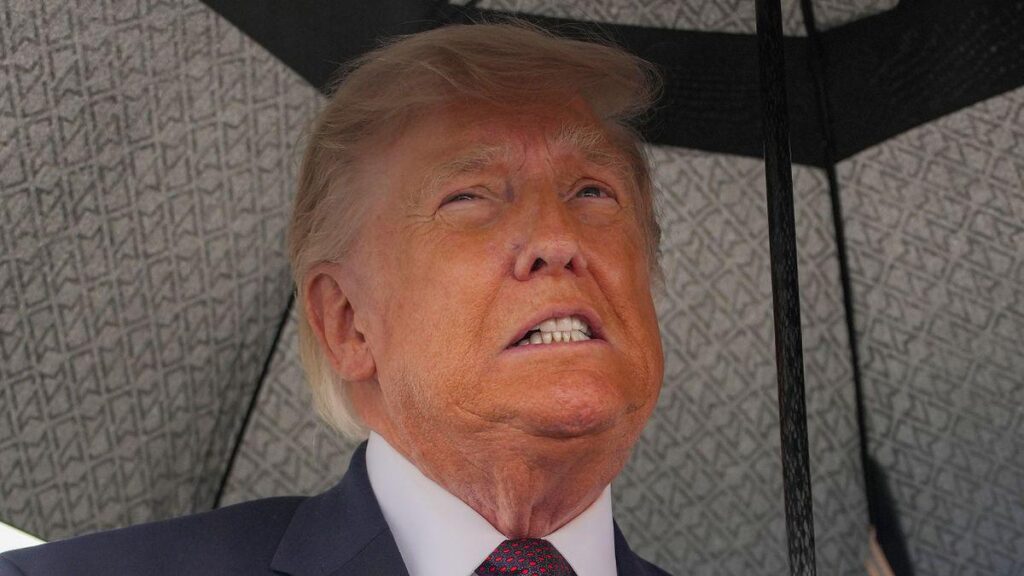 Fox News fans blast 'imbeciles' as Donald Trump gets heckled by protester | An anti-Trump protester repeatedly shouted “pedophile” during his speech leaving Trump red-faced and Fox News viewers furious.