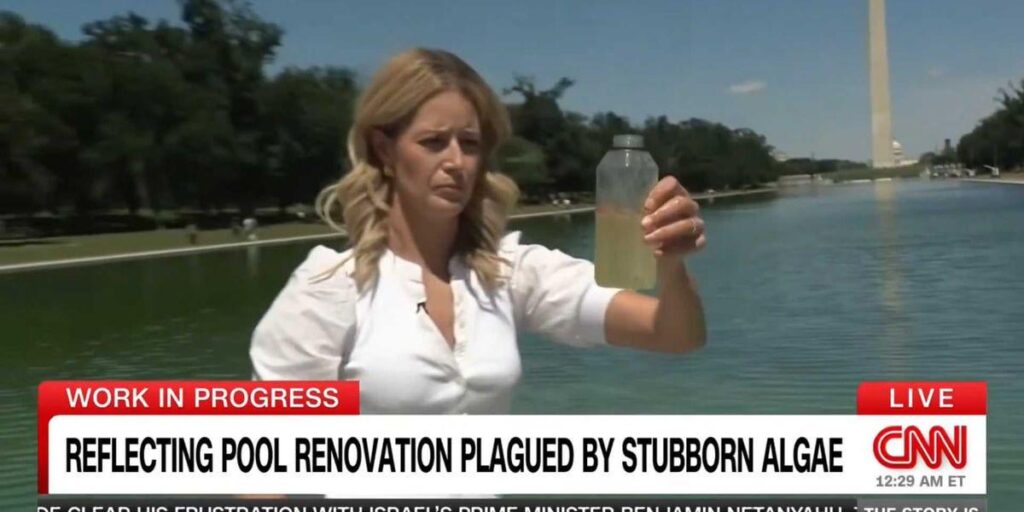 'Obsessed!' MAGA goes berserk as CNN tests water in Trump's Reflecting Pool fiasco | Trump ordered the landmark repainted "American flag blue" for $14.2 million — far exceeding his initial $2 million estimate. Algae turned the water bright green within days of the pool being refilled in early June.