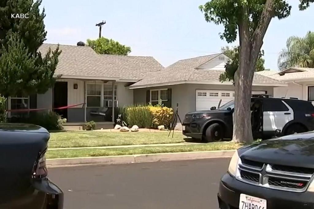 Police arrest son of James Handy’s girlfriend in actor’s stabbing death in LA Police arrest son of James Handy’s girlfriend in actor’s stabbing death in LA