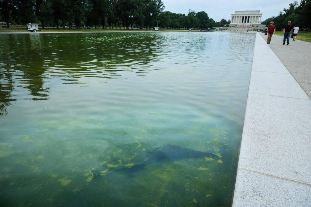 Trump claims he’ll sue ABC News over Reflecting Pool coverage: ‘I like their money’