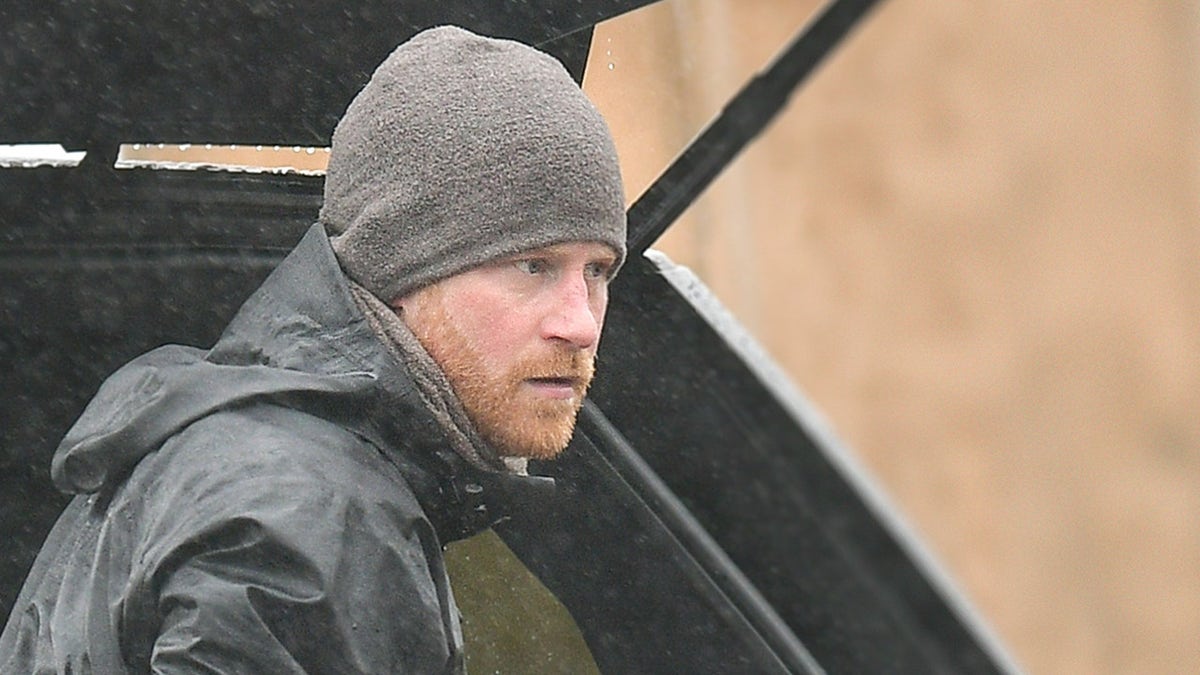 Prince Harry walking his dog in Montecito wearing a grey windbreaker and matching hat.