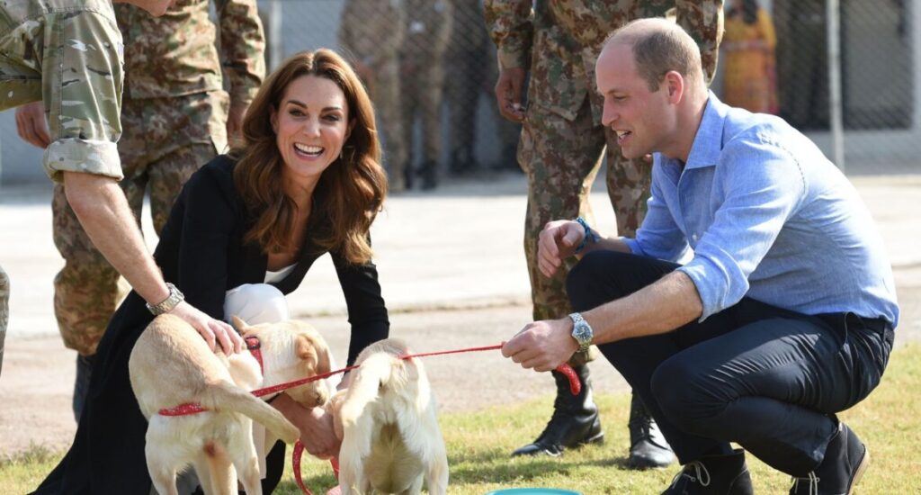 What Pets Do Members of the Royal Family Have? What Pets Do Members of the Royal Family Have?