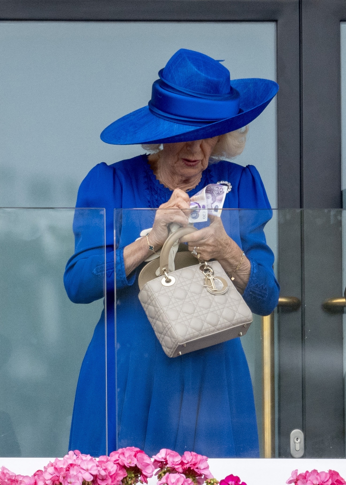 Queen Camilla wearing a blue coat and hat counting money at Royal Ascot