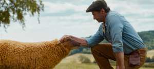 The Sheep Detectives