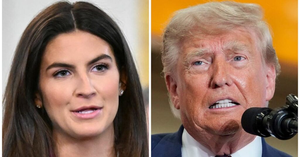Kaitlan Collins Humiliates Trump With Brutal Reflecting Pool Receipt | The president’s own comments are coming back to bite him.