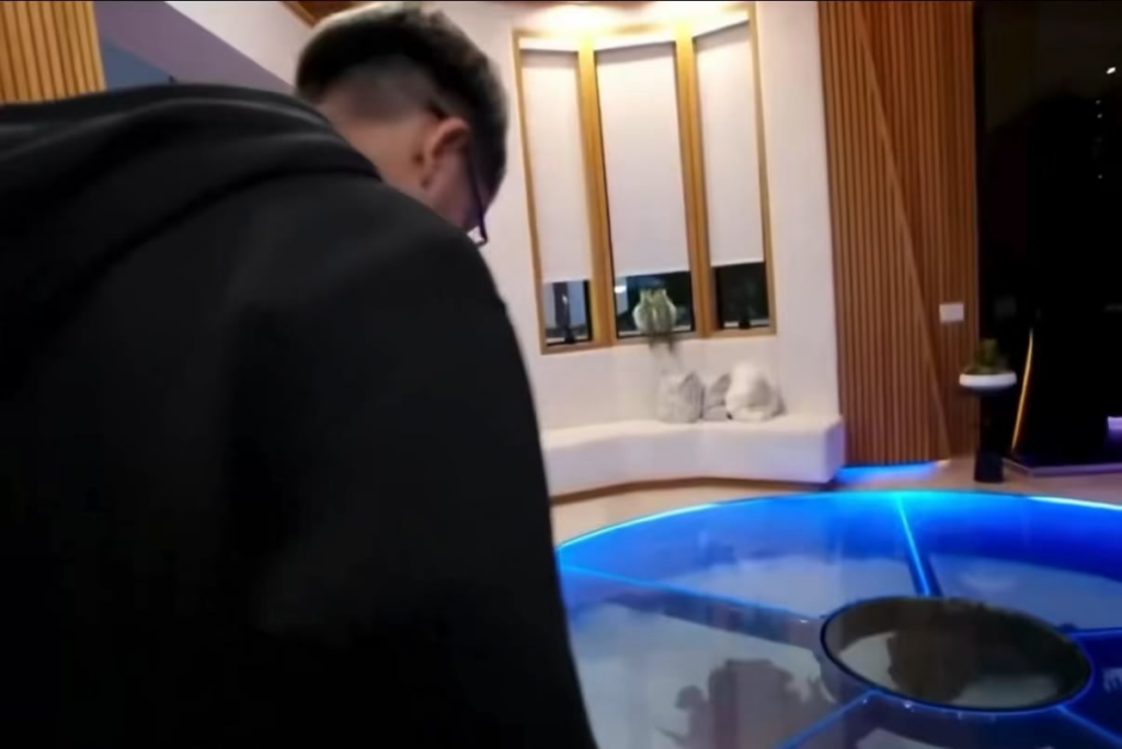 Jason Derulo keeps a shark in a tiny floor aquarium in his mansion