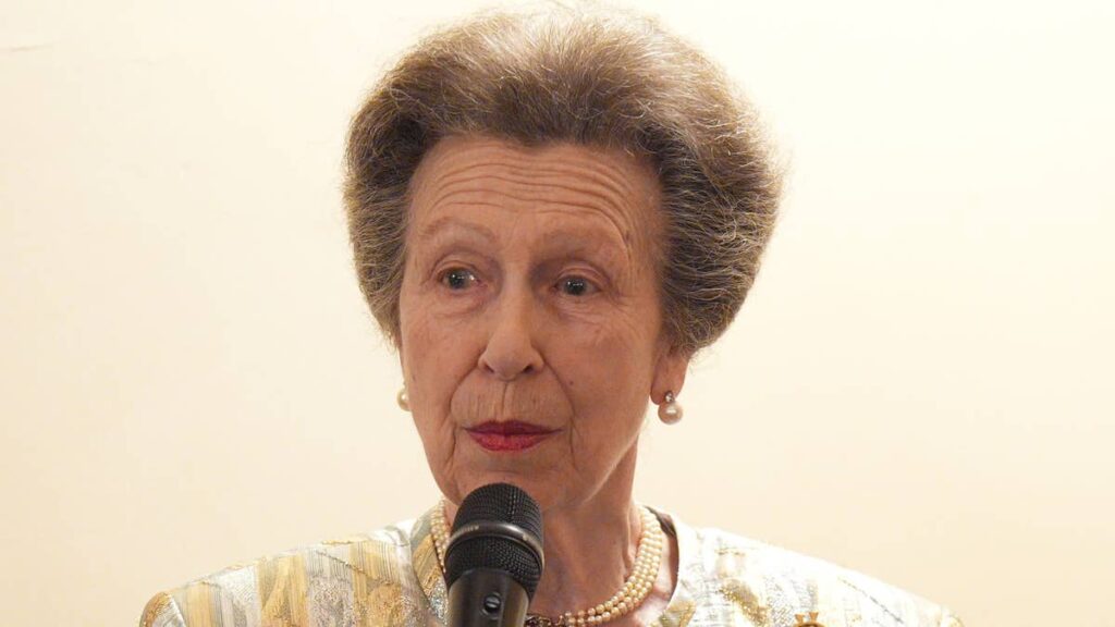 Princess Anne's confusing U-turn on memory loss following horse accident