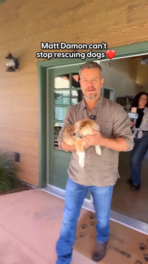 Matt Damon talks about his rescue dogs: Charlie, Osita, Cookie, Rudy and Scoutie