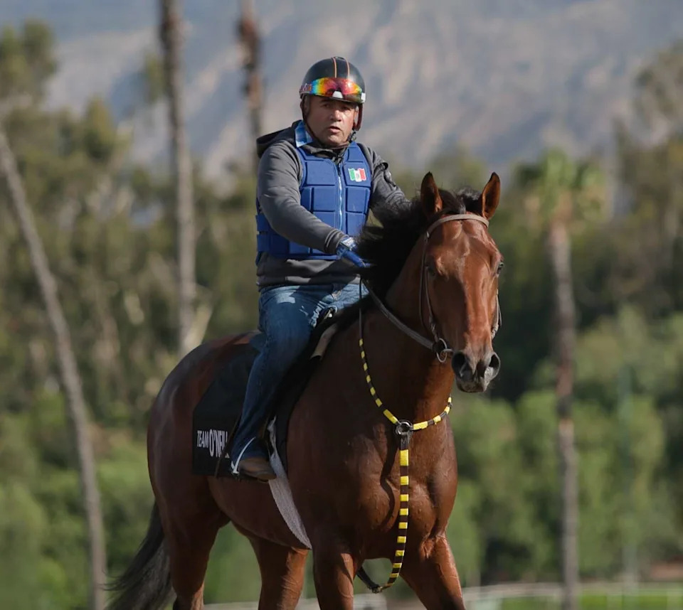 Vitruvian Man, co-owned by Glenn Sorgenstein and Run Fast Racing, is entered in the 2026 Belmont Stakes at Saratoga Race Course. (Provided by Run Fast Racing)