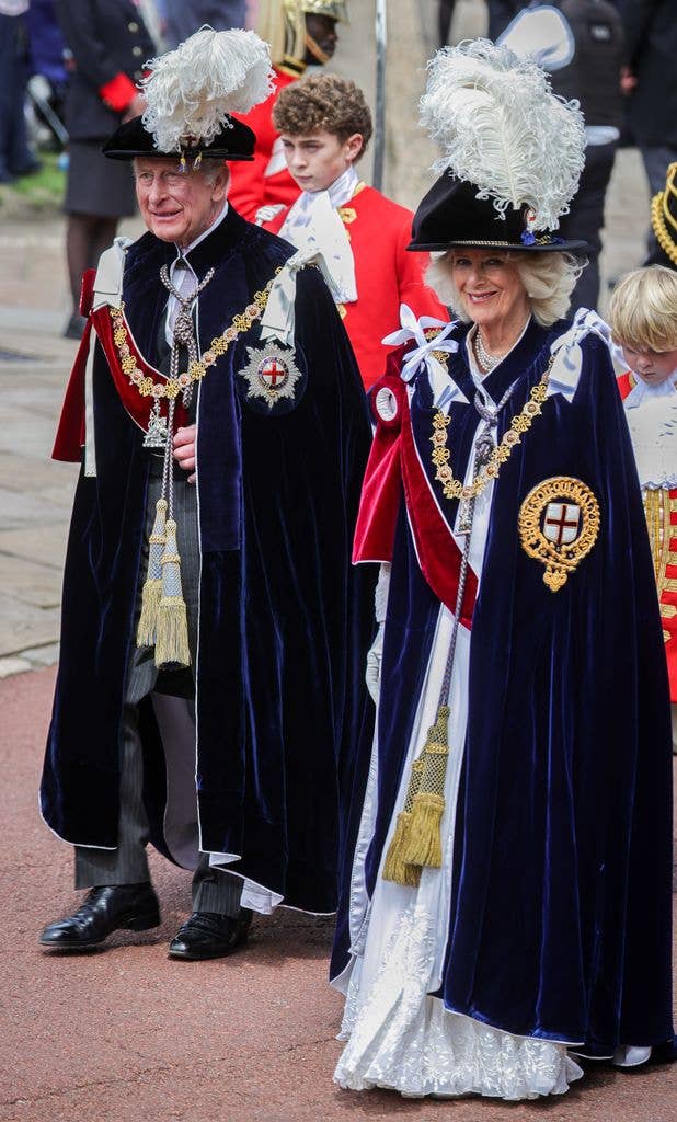 Queen Camilla's garter robes - and a stunning photo