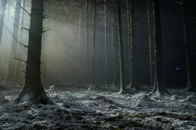 First official image for Robert Eggers’ ‘Werwulf’