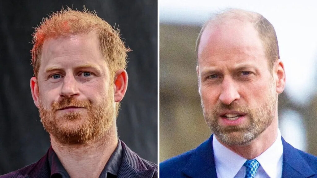 Prince Harry Unlikely to Reconcile With Prince William on UK Visit Given ‘Fractious’ Relationship