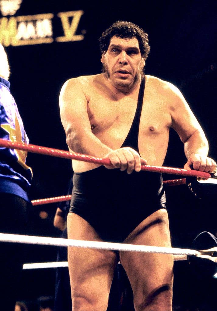 André the Giant in the ring at Wrestlemania in 1989.