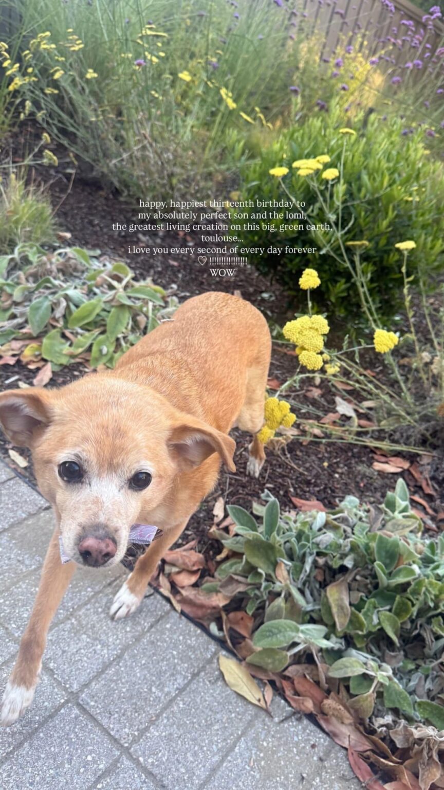 Ariana Grande shared photos of herself and her dog Toulouse, who turned 13 today. She adopted him in September of 2013.