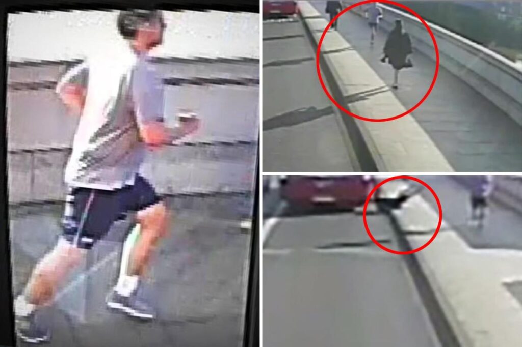 Millionaire with ties to UK royal family accused of being notorious jogger seen pushing woman in front of bus